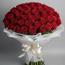 Букет 101 Красная роза Блэк Мэджик в Аксарке