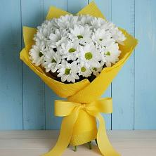 Букет цветов из:  Хризантемы в Аксарке