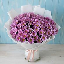 Букет цветов из:  Хризантемы #REPLACE_PRED# Аксарке