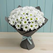 Букет цветов из:  Хризантемы в Аксарке