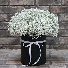Цветочная композиция из Гипсофила в шляпной коробке в Аксарке