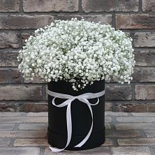 Цветочная композиция из Гипсофила в шляпной коробке в Аксарке