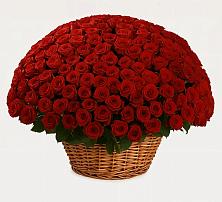 Премиум букет из: Розы в Аксарке