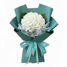 Букет цветов из:  Гортензия #REPLACE_PRED# Аксарке